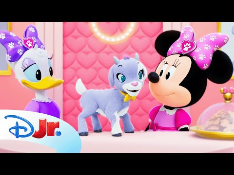 Minnie and Daisy Welcome a Baby Goat as Their Guest! ๐๐ | Minnie's Bow-Toons: Pet Hotel | @disneyjrโ