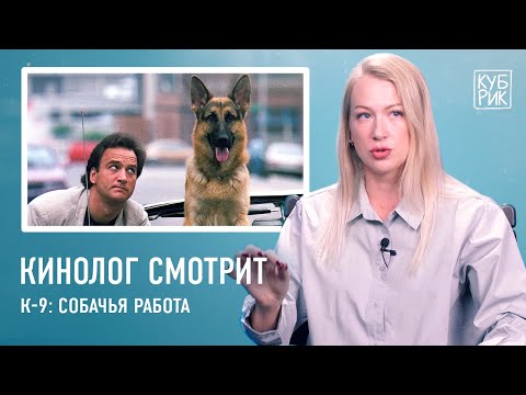 Кинолог смотрит фильмы про собак — «Комиссар Рекс», «К9», «Тёрнер и Хуч», «Бетховен», «Белый Бог»