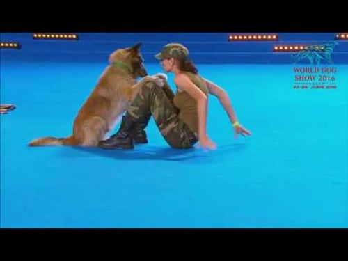 FCI Dog dance World Championship 2016 – Freestyle final - Lusy Imbergerova and Deril (Italy)
