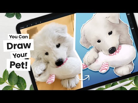 How to CARTOON your PET from a picture • Procreate Tutorial