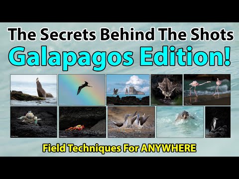 Pro Field Techniques For GREAT Shots Anywhere!