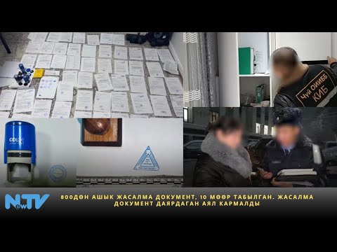 More than 800 fake documents and 10 seals found. Woman arrested for making fake documents