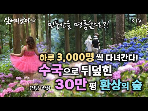 (전남 보성) 1부, 2부 - 민둥산을 명품숲으로 가꾼 '임업 명문가' 정은조 선생/꽃으로 만개한 SNS 핫플!! koreatv, hydrangea, garden (시즌5)