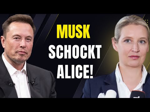 Was Elon Musk an Alice Weidel schickt, ist UNFASSBAR!