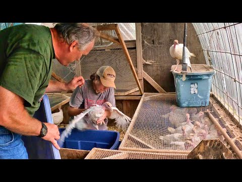 Hilarie is the Turkey Master!