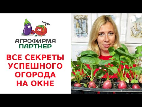 ВСЕ СЕКРЕТЫ УСПЕШНОГО ОГОРОДА НА ОКНЕ