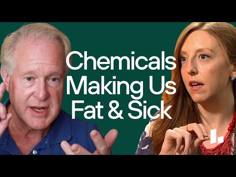 How ENVIRONMENTAL Chemicals & Obesogens Are Making Us SICK & Fat | Dr. Rob Lustig & Dr. Casey Means