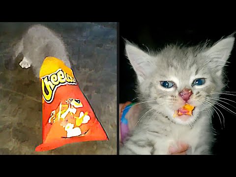 Getting Caught Red Handed