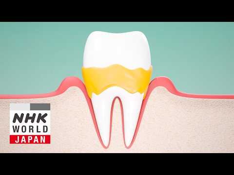 Dental Breakthroughs To Save Your Smile - Medical Frontiers