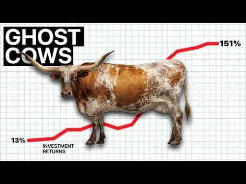 The $650M Cow Ponzi Scheme