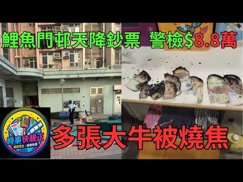 鯉魚門邨天降鈔票!!列刑毀案調查#網絡熱話 #社會時事 #社會熱話 #時事 #社會新聞 #新聞簡報 #新聞評論
