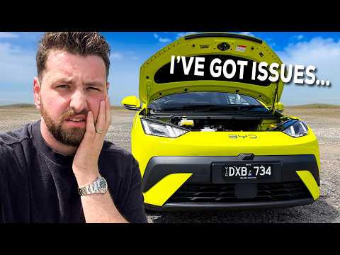 What SUCKS About my BYD ATTO 1...
