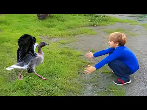 These Animals Will Never Forget Their Owners | Animal Reunion After Years !