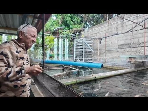 Cubans scramble to survive as US vise on island tightens in push to oust government