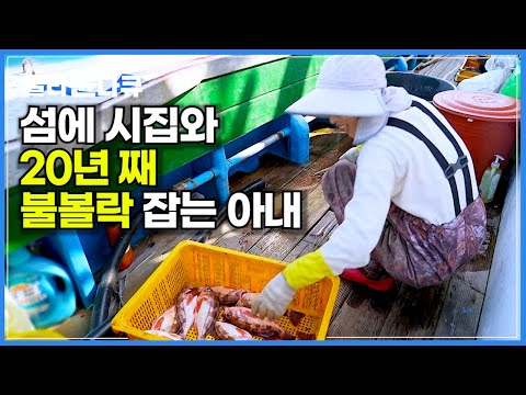 남편 따라 배 탔다가 20년째 불볼락 잡는 재미로 산다는 아내│가거도 불볼락 잡이│바닷가 사람들│#골라듄다큐