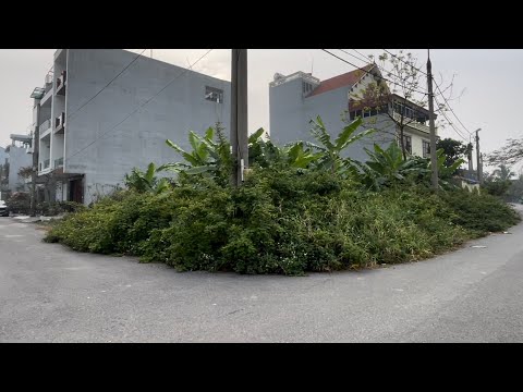 We Teamed Up with Locals to Clean the Forest, Revealing a Stunning Sidewalk Transformation.