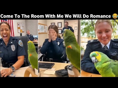 Talking Parrot Roasting Police ๐ | Funniest Parrot Ever