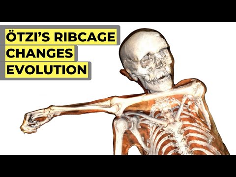 Study on Ötzi the Iceman's Ribcage Just Changed Human Evolution Forever
