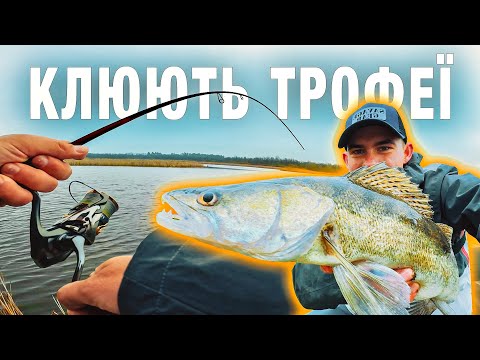 Клюють ТРОФЕЇ Не Можу ВИТЯГНУТИ ЇХ З Води - Рибалка Весною 2023