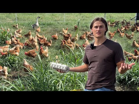 I Visited a True Pasture Raised Egg Farm to Learn the Truth Behind Eggs