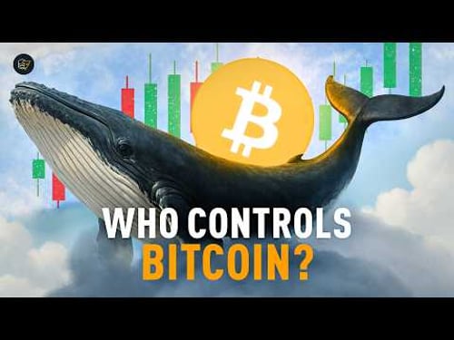 Who Controls the Bitcoin Market? All You Need to Know About Whales