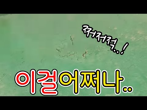 바르거나 짜넣기만 하세요, 방수가됩니다..! (ft.옥상방수&균열방수&침투방수)