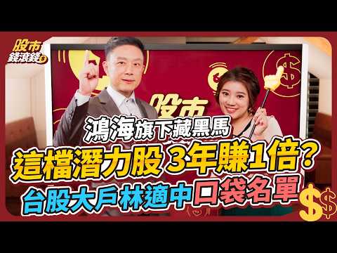 【股票】5億大戶林適中 看好鴻海旗下這1檔未來可期!汽車產業規模達2億美金比半導體高,誰是台股中下一個特斯拉?| 林適中、葉芷娟|股市錢滾錢 #電動車 #股票 #AI #汽車