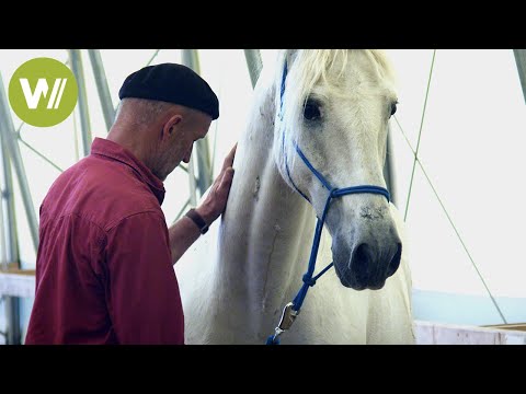 Einzigartige Beziehungen zwischen Pferd und Mensch | Mit anderen Augen