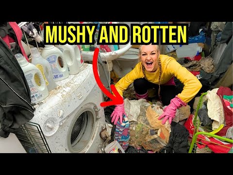 He Was Struggling Alone Until His Friend Called Me