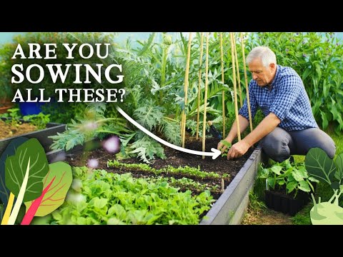 15 Must-Sow Vegetables and Herbs in Late October