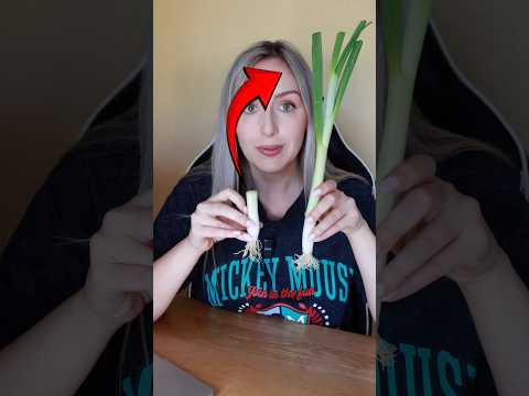 Endless Frühlingszwiebel Glitch ✨🧅 #frühlingszwiebel #küchentricks