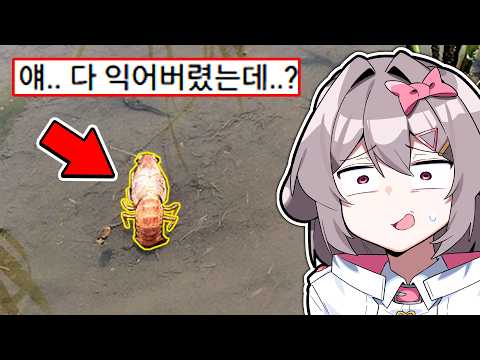 정신나간 레전드 더위 모음집ㅋㅋㅋ..