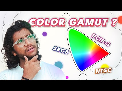 How Color Gamut Works And Why It Matters? Master Color Gamut in Minutes!