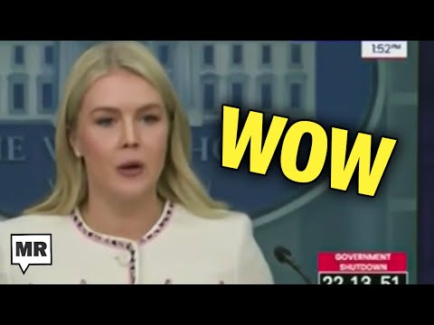Karoline Leavitt Makes Shocking Admission During Press Conference