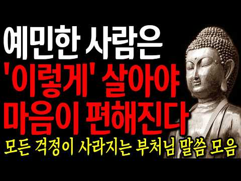 생각 많고 예민한 사람도 마음 편히 살 수 있는 방법 3가지 I 자면서 듣는 부처님 말씀 4시간 l 지혜 I 오디오북 I 철학