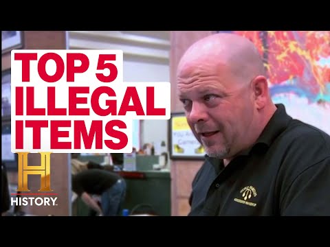 Pawn Stars: 5 SUPER RARE ILLEGAL ITEMS! | History