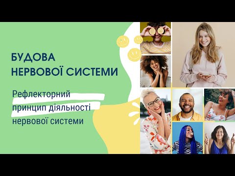 Будова нервової системи. Рефлекторний принцип діяльності нервової системи