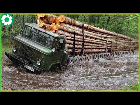 Biggest Logging Wood Truck Driving Skills Heavy Equipment Loading Climbing Working