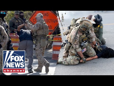 ‘SOMEONE IS LYING!’: Chicago police under scrutiny amid anti-ICE protests