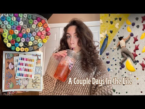 Autistic Vlog a Couple Days in the Life