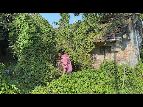 Neighbors were worried when they saw us cleaning up the snake infested house near their place