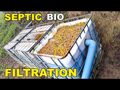 Cheap, DIY septic IBC tank with BIO FILTRATION