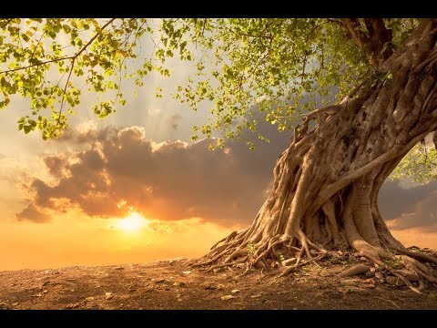 GOOD MORNING MUSIC ➤ 528 Hz Strong Positive Energy ➤ Wake Up Meditation Music - Spiritual Morning
