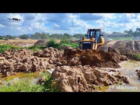 Awesome Super Dozer Shantui Moving Sand Filling Into Rice Field & Many Trucks Unloading