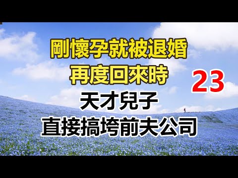 续集来啦!!!!!!!!!!!!!!!!!!!!!!!剛懷孕就被退婚,再度回來時,天才兒子,直接搞垮前夫公司。#幸福敲門 #為人處世 #生活經驗 #情感故事