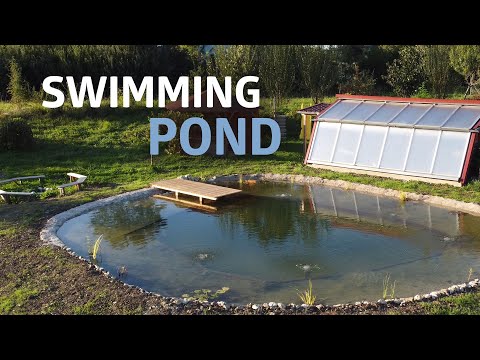 Building a Natural Swimming Pond (And Digging it by Hand)
