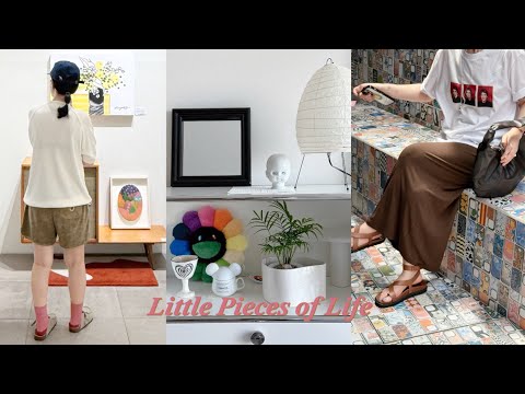 Vlog | 고효 | 예쁜 양말 모음.zip 🧦✨ | 내가 찾던 클로그☻ IYSO | 이브세이지, IDEA, CITTA, PKBY, 모노하 | 취향저격 브이로그..★