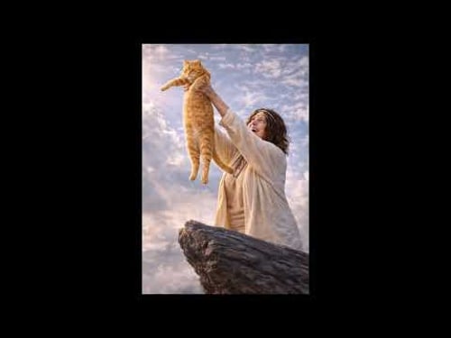 Le Petit Créneau Calme - L'alignement des objets du Salon Episode 1