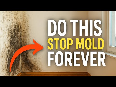 Do This to Stop Mold Forever