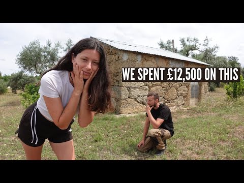 Turning our abandoned land into an OFF GRID HOMESTEAD